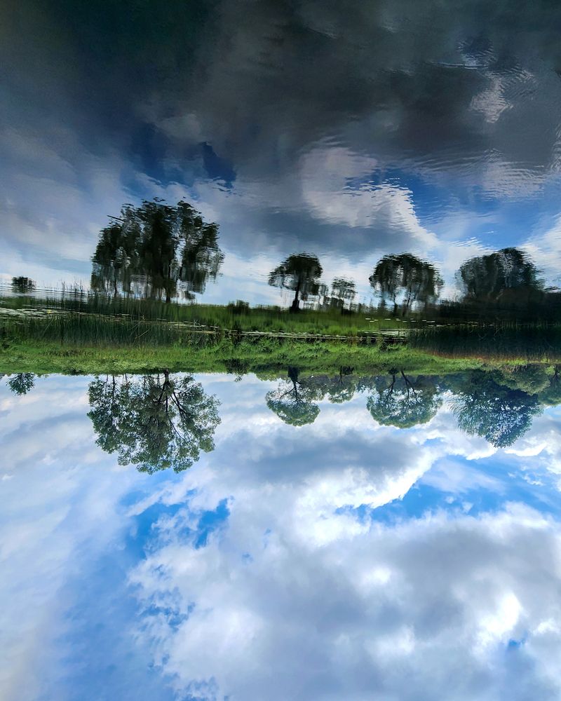 Photograph by Елена Беланенко