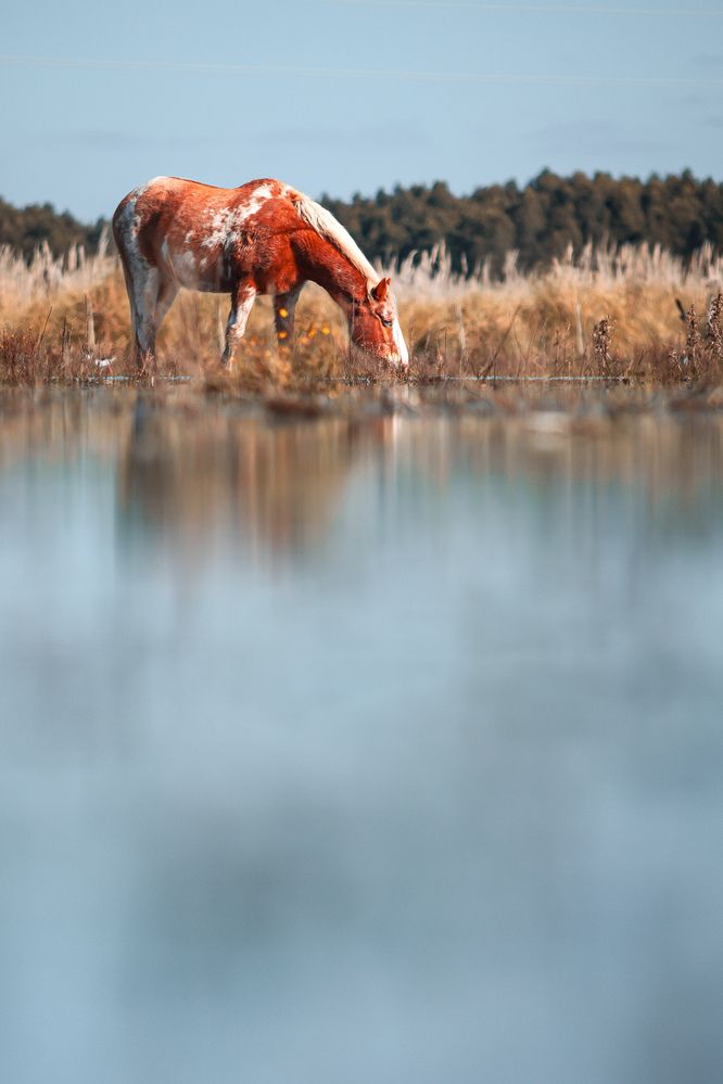 Фотография автора Hugo Marc