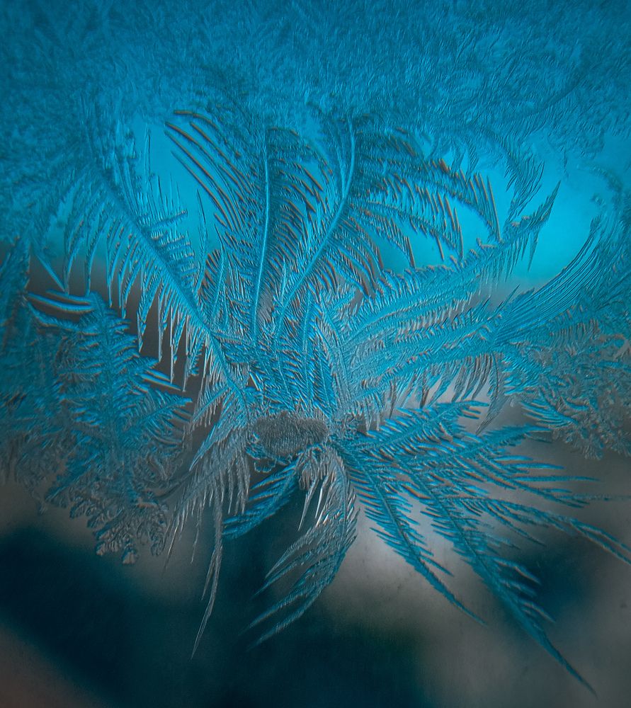 Фотография автора Anastasia