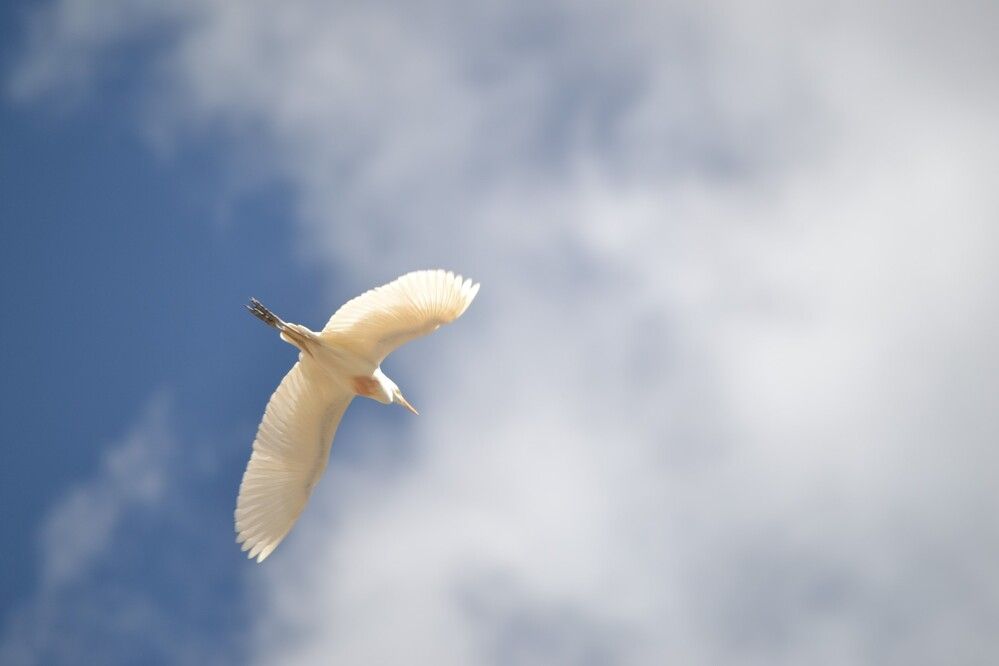 Фотография автора Jorge Martinez