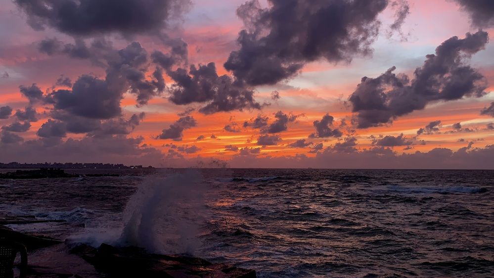 Фотография автора Sara Ali