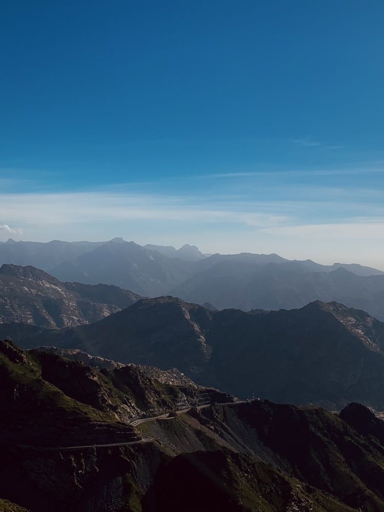 Фотография автора Sara Ali