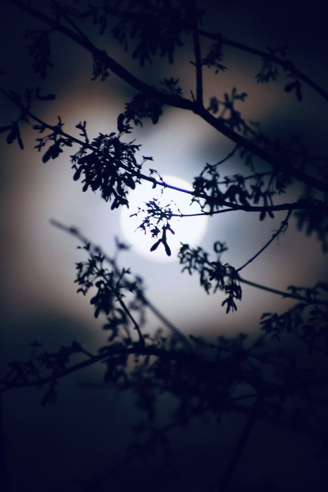 Фотография автора Irma