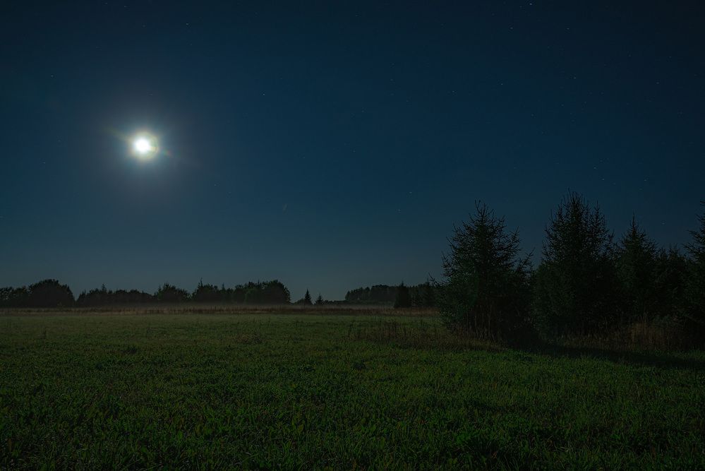 Photograph by Кокорин Алексей