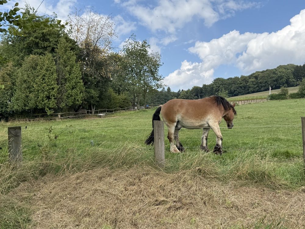 Photograph by Марина Дикманн
