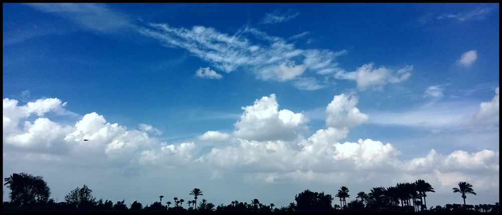 Photograph by على اشرف محمد عبد الجواد شعبان