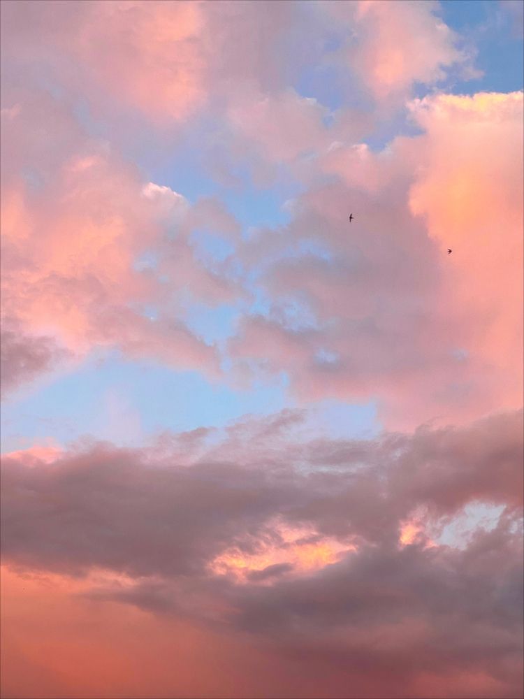 Photograph by Екатерина Щербинина