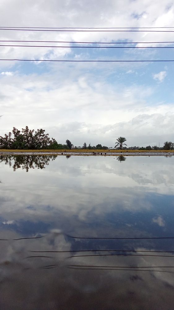 Photograph by على اشرف محمد عبد الجواد شعبان