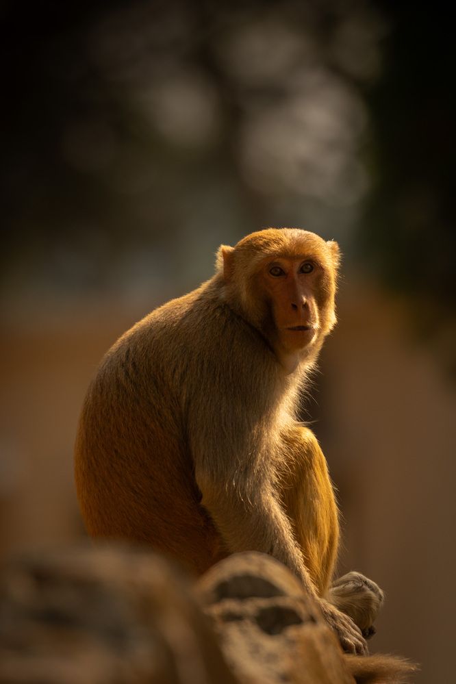Photograph by Tushar Bhogle