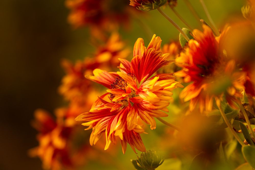 Photograph by Tushar Bhogle