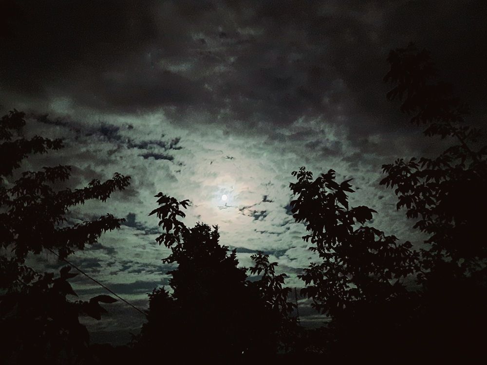 Photograph by Анжелика Гарина