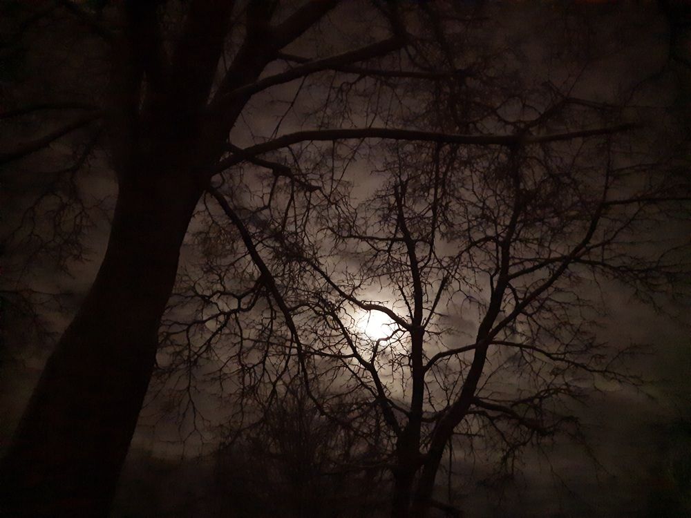 Photograph by Анжелика Гарина