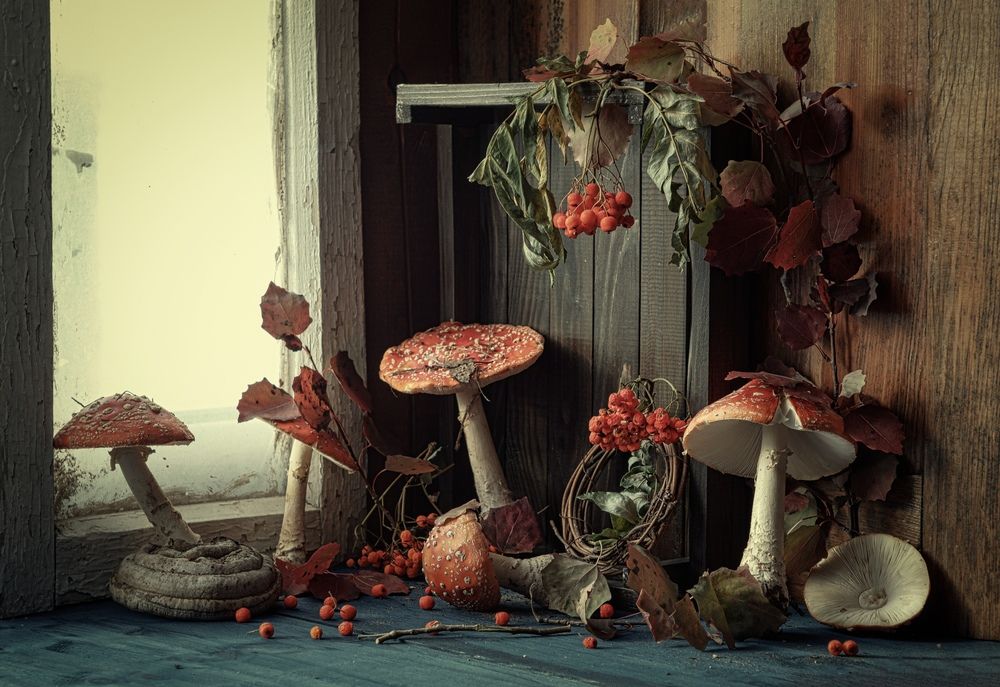 Photograph by Viktoriya Shamanova