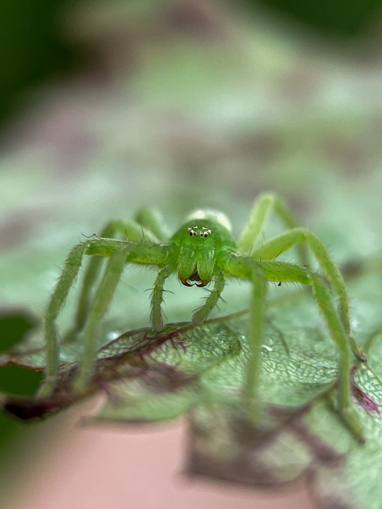 Photograph by Юлия Максимова