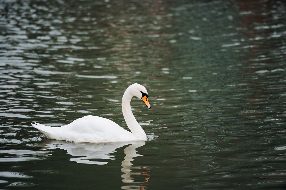 Photograph by Имран Жулягов