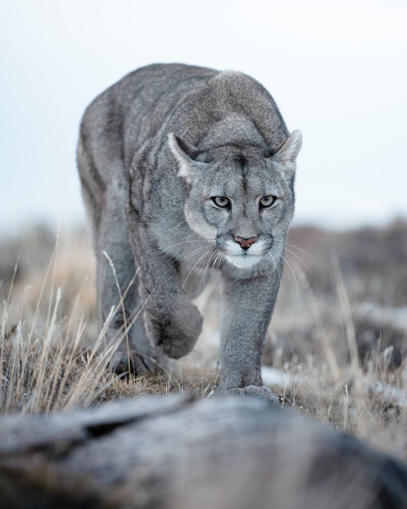 Фотография автора Karthik Subramaniam