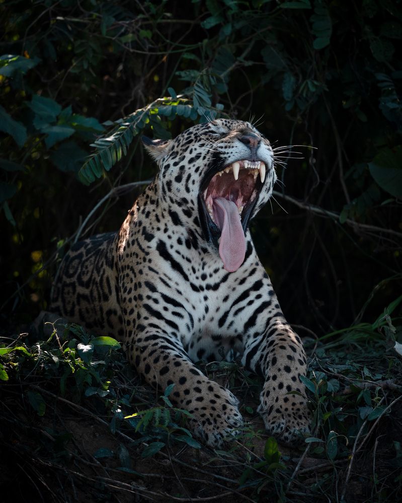 Фотография автора Karthik Subramaniam