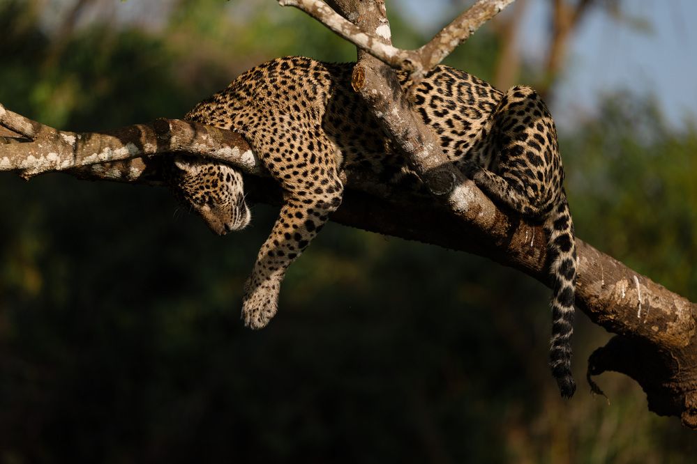 Фотография автора Karthik Subramaniam