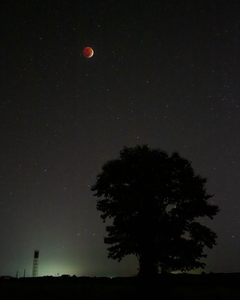 Photograph by Valdir Hobus