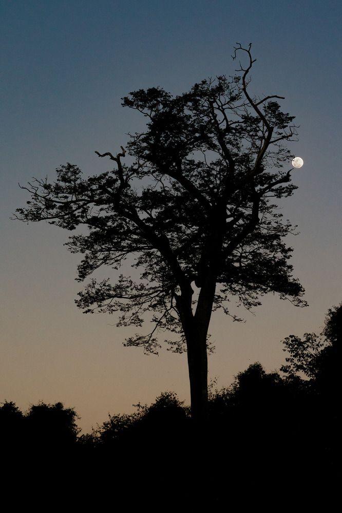 Photograph by Valdir Hobus