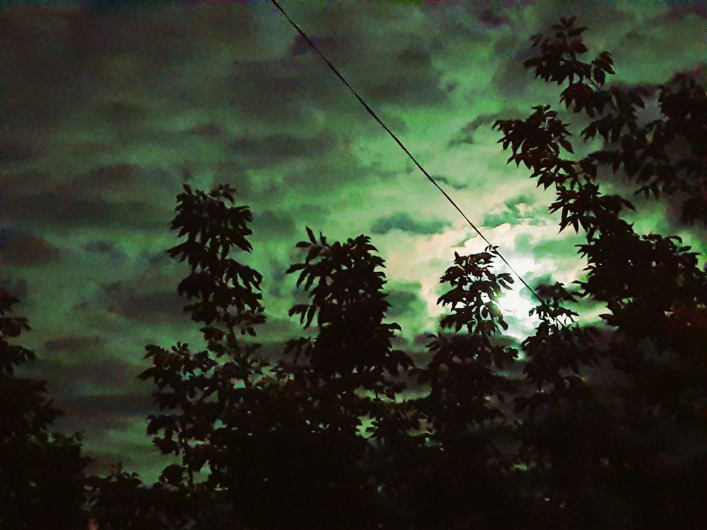Photograph by Анжелика Гарина