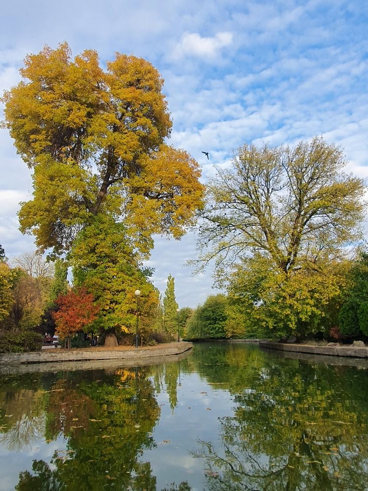 Photograph by Анастасия Трофимовская