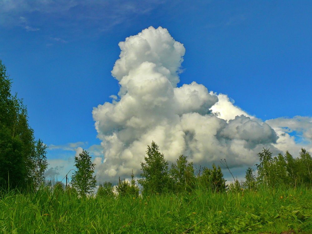 Фотография автора Анатолий Борисов