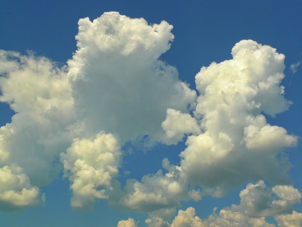 Фотография автора Анатолий Борисов