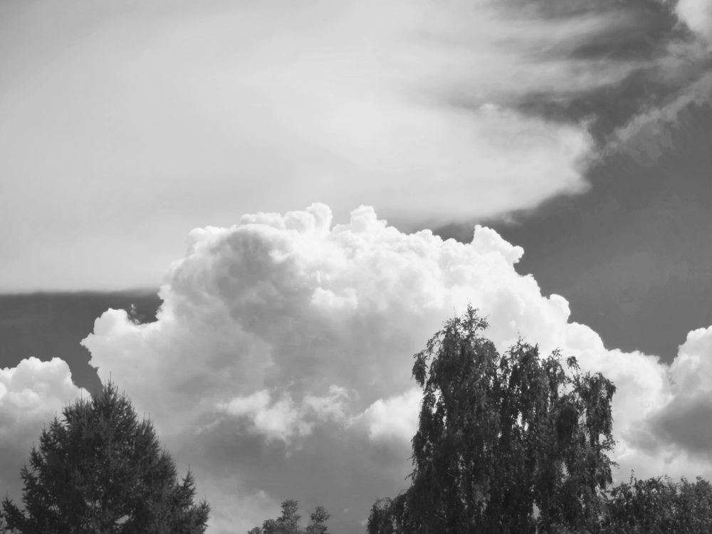 Photograph by Александр Лунин