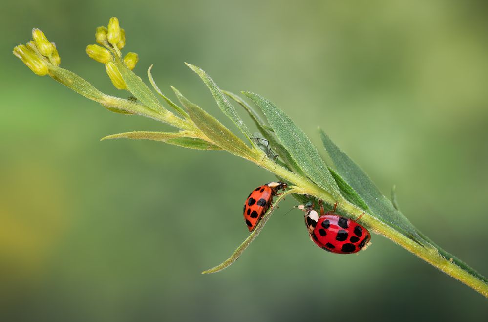 Photograph by Atul Saluja