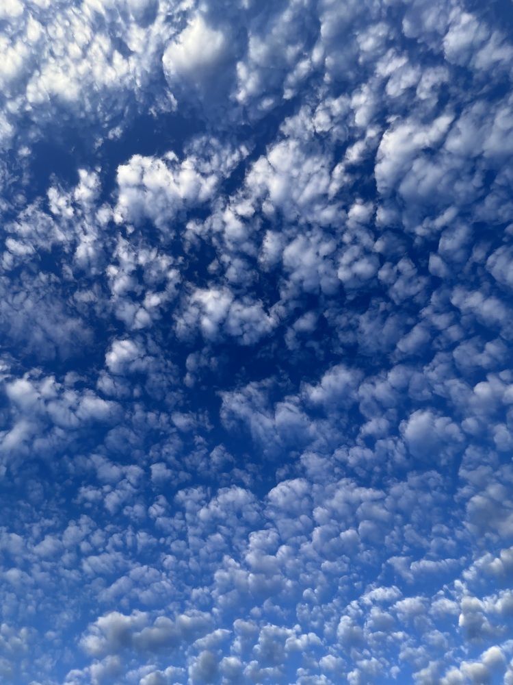 Photograph by Вероника Гасюк