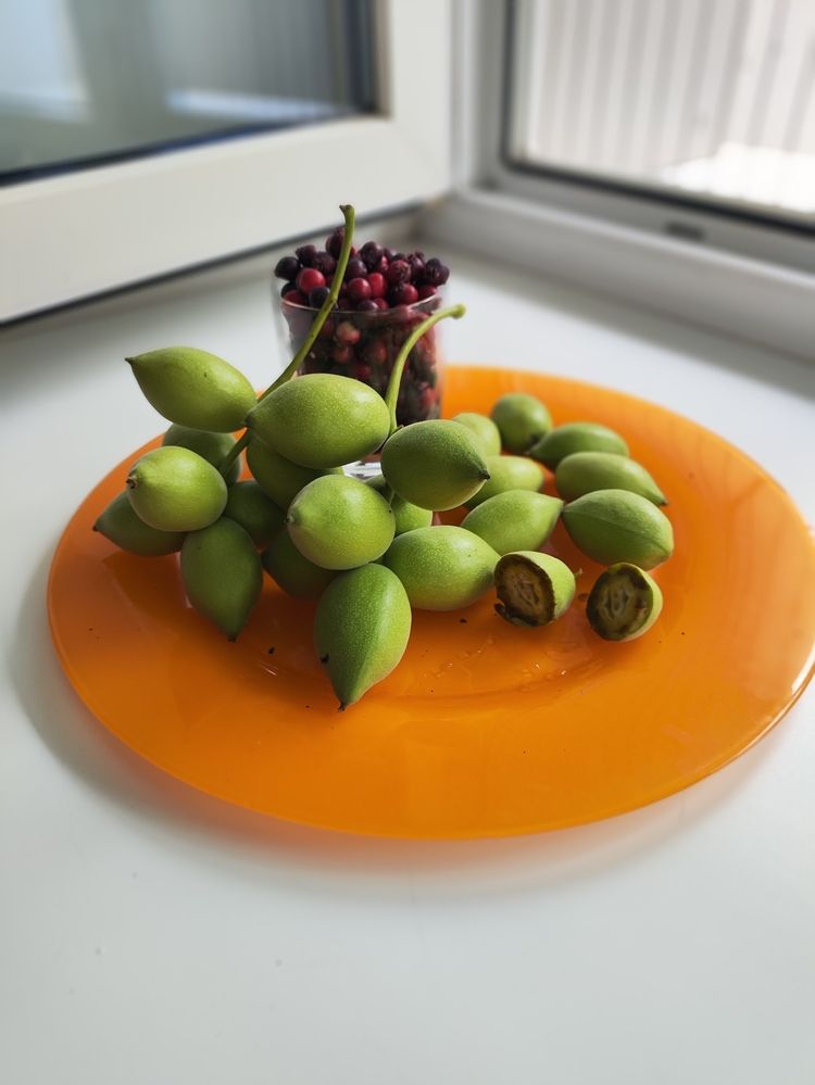 Photograph by Татьяна Пьянзина