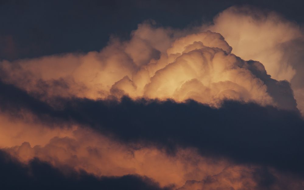 Photograph by Ольга Глущенко