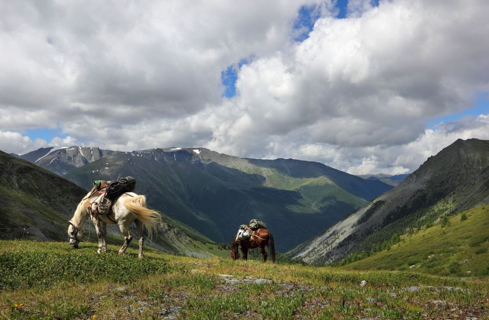 Фотография автора Кухта Мария