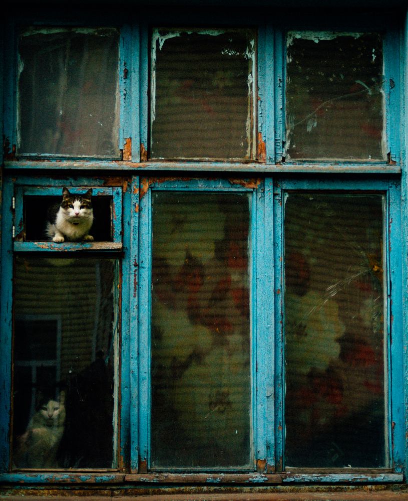 Photograph by Остапенко Юрий