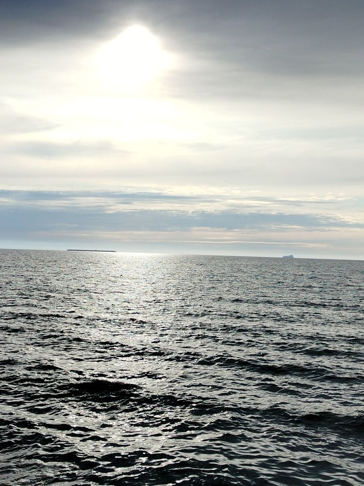 Photo #12551525