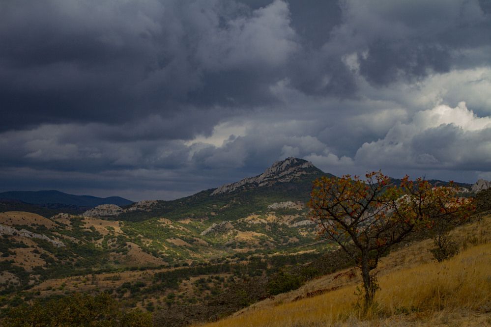 Photograph by Капанов Владислав