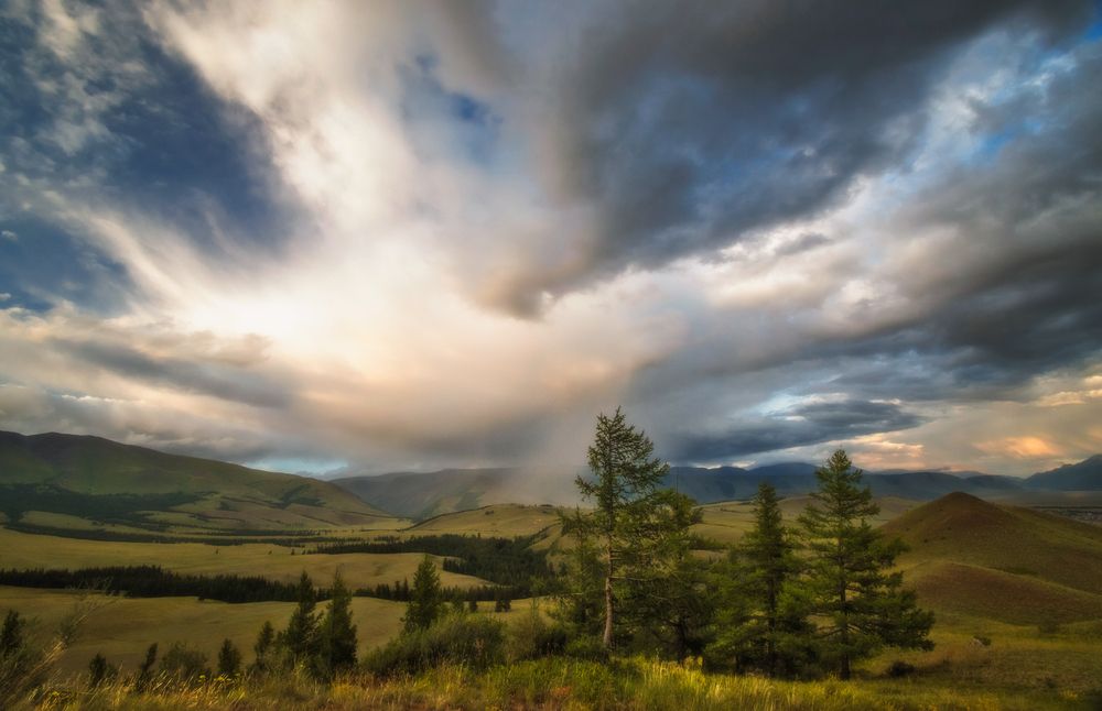 Летний вечер в Курайской степи...
