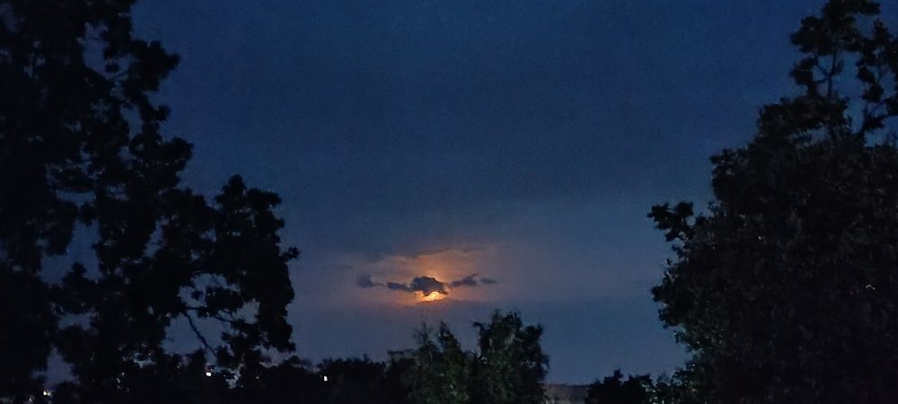 Photograph by Mishel Photographer