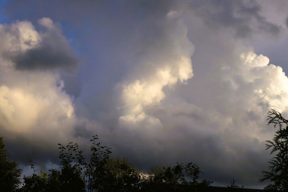 Photograph by Ирина Садовникова