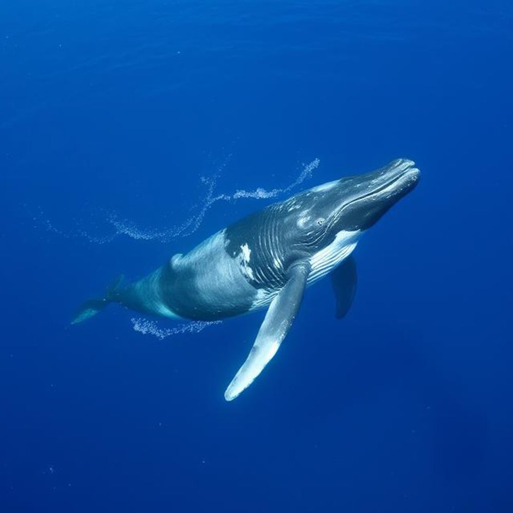 Photograph by Антон Шаркас