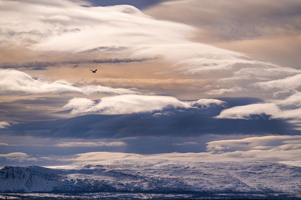 Photograph by ARTEM KORZHUKOV