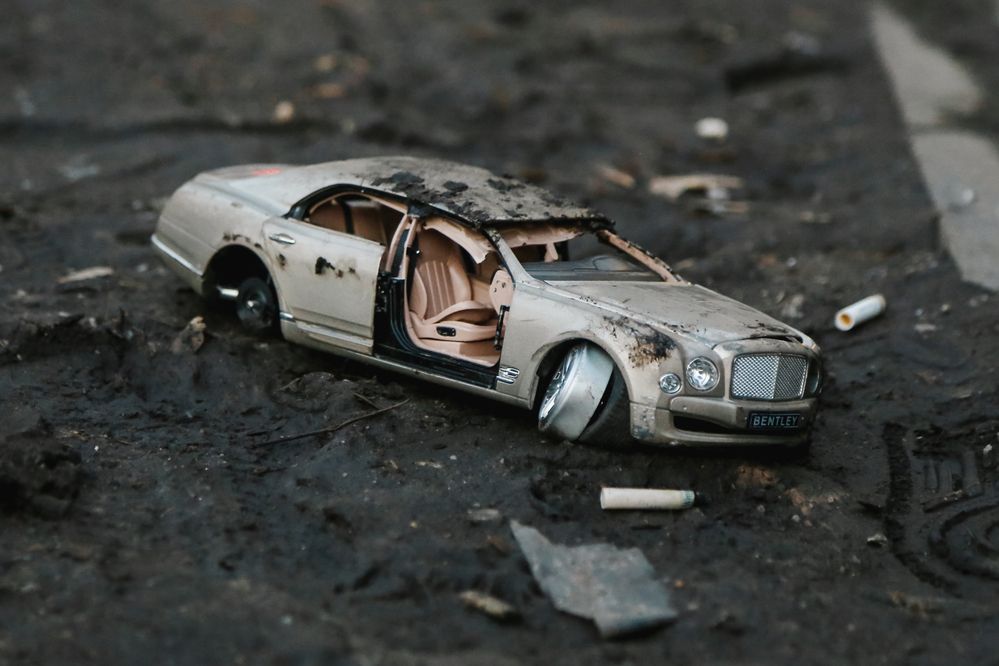 Фотография автора Попова Елена