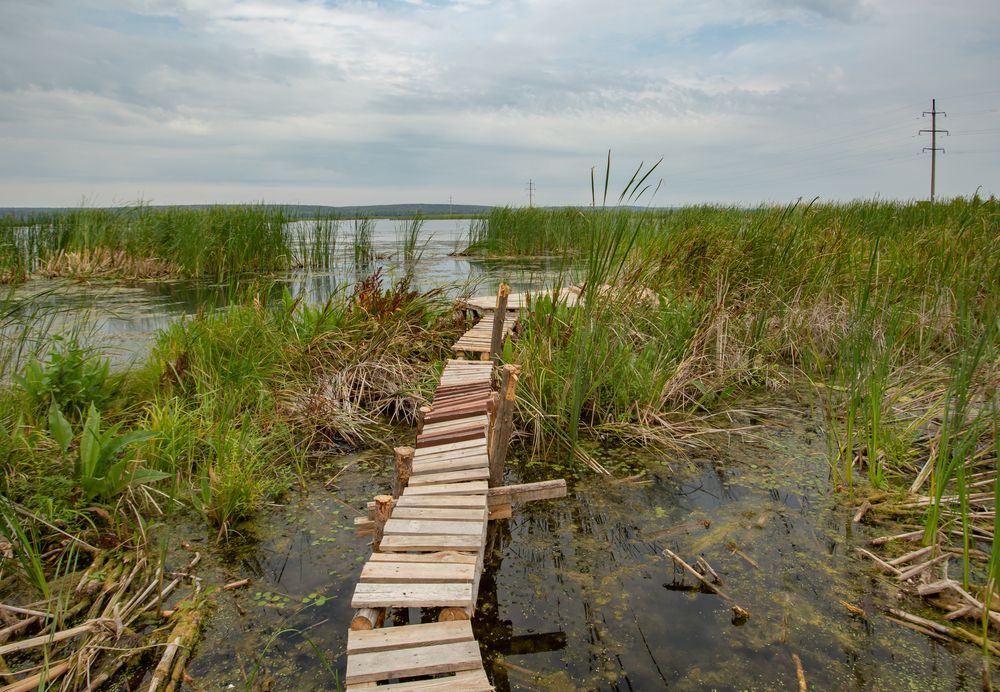 Photograph by Виталий Новиков