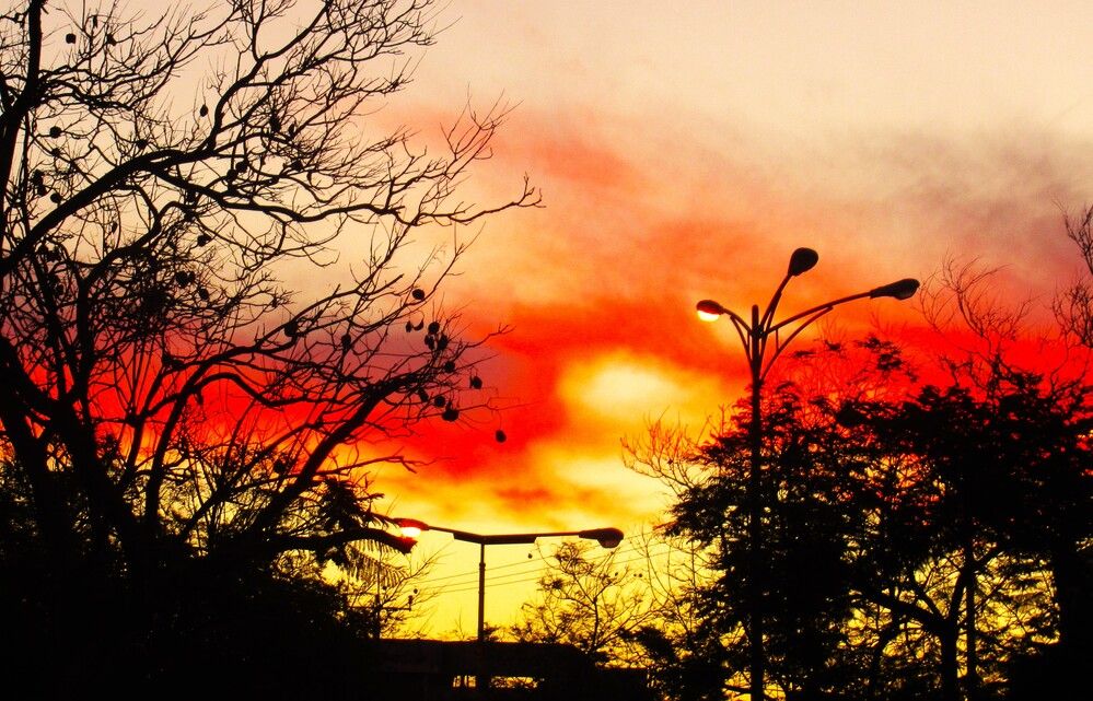 Photograph by Leonid Yarmolinsky