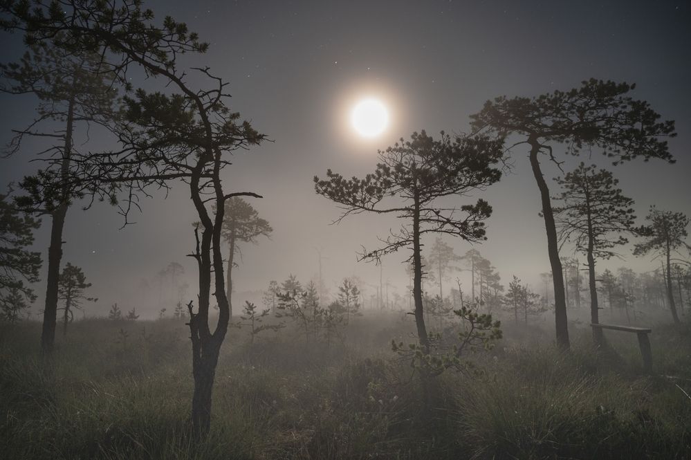 Photograph by Brouer Alexey