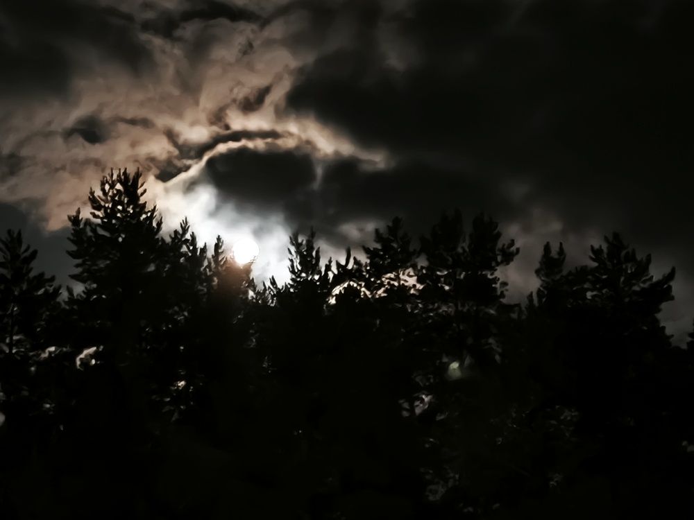 Photograph by Марина Опарина