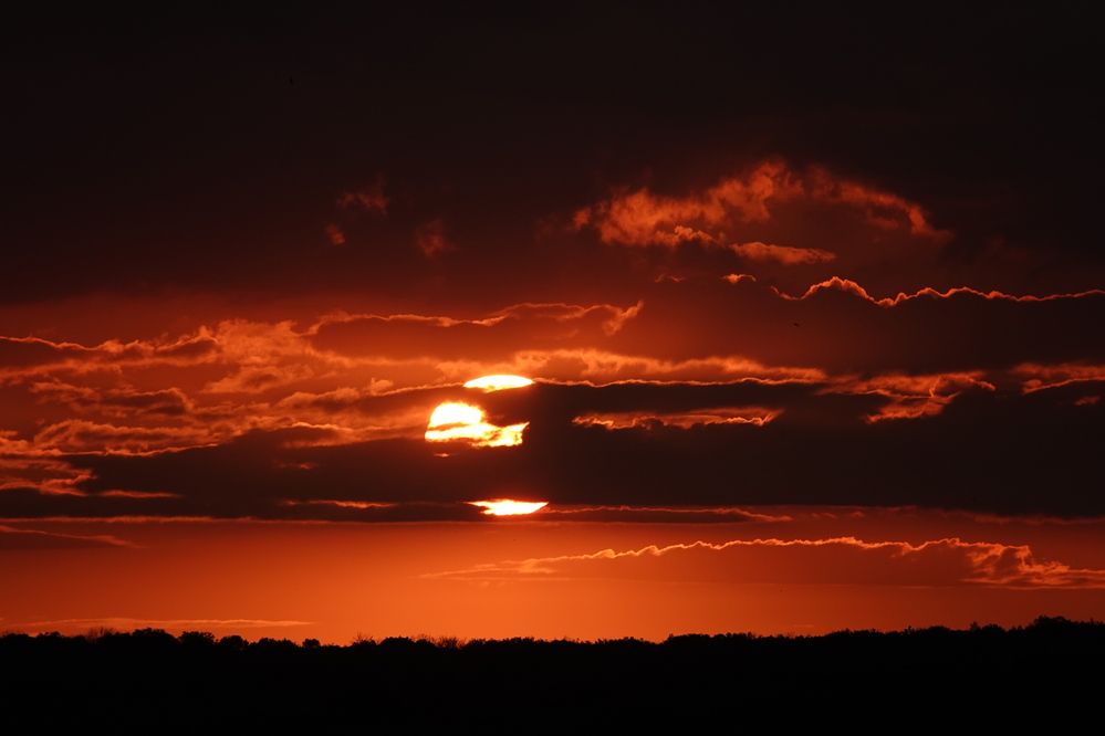 Photograph by Zakharov Matvey