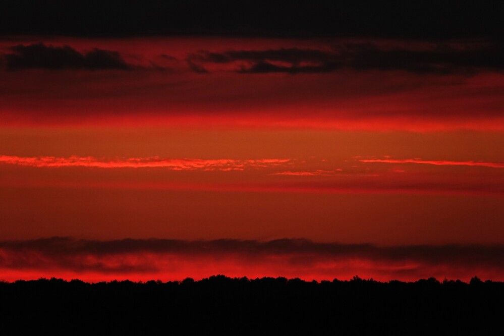 Photograph by Zakharov Matvey