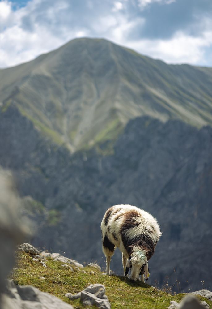 Photograph by Max Justh
